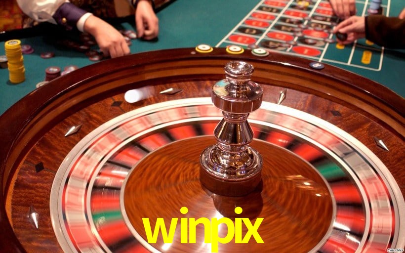 Interface Premium winpix